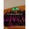Early Mature Hot Resistance Long And Thin Purple Eggplant Seeds-Saint Harvest